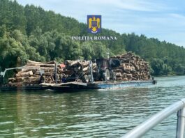 Două barje cu material lemnos fără acte, descoperite de polițiști