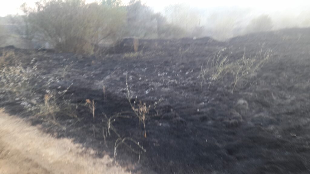(VIDEO) Incendiu în comuna gorjeană Glogova
