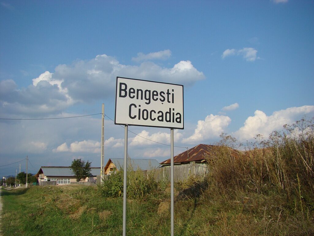 Gorj: Agresați în curtea casei de trei bărbați