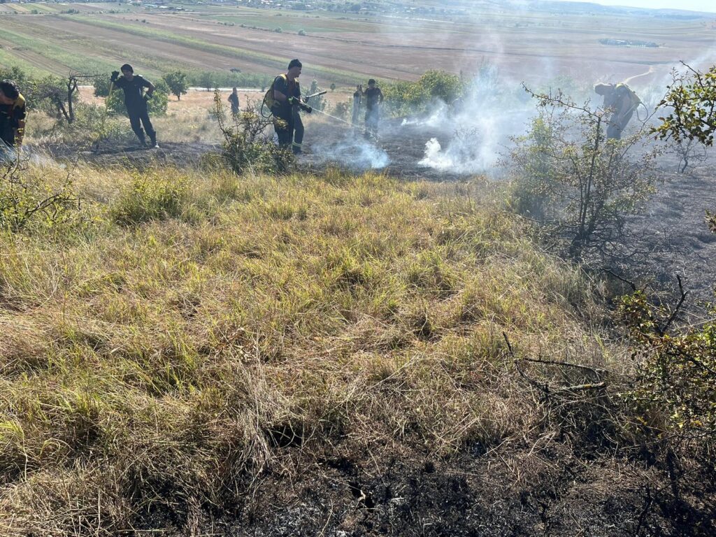 Incendiu de vegetație în localitatea Predești
