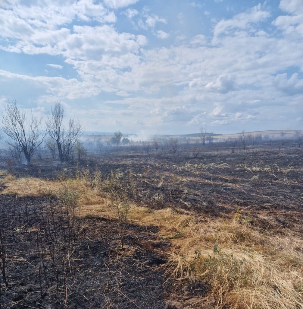 Mehedinţi: Incendii de vegetaţie în comuna Devesel