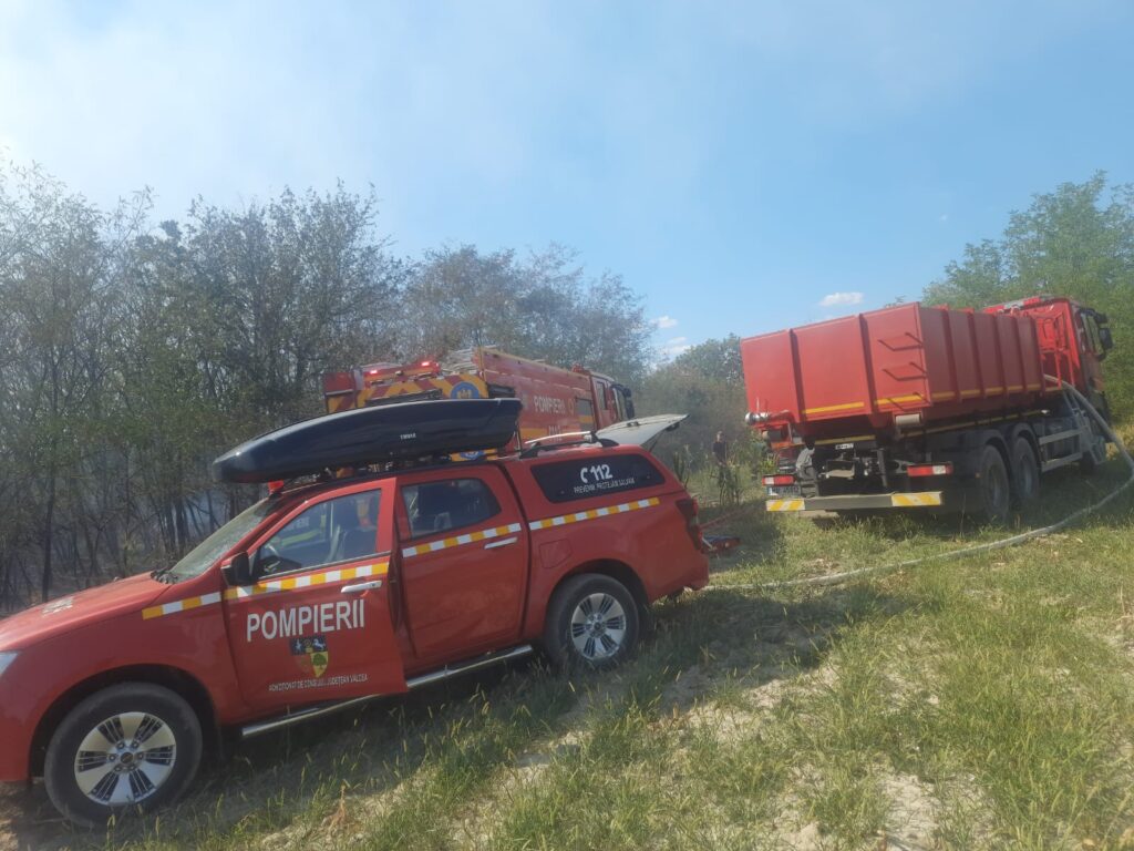 (VIDEO) Vâlcea: Incendiu de vegetație și gospodării, în localitatea Stoilești