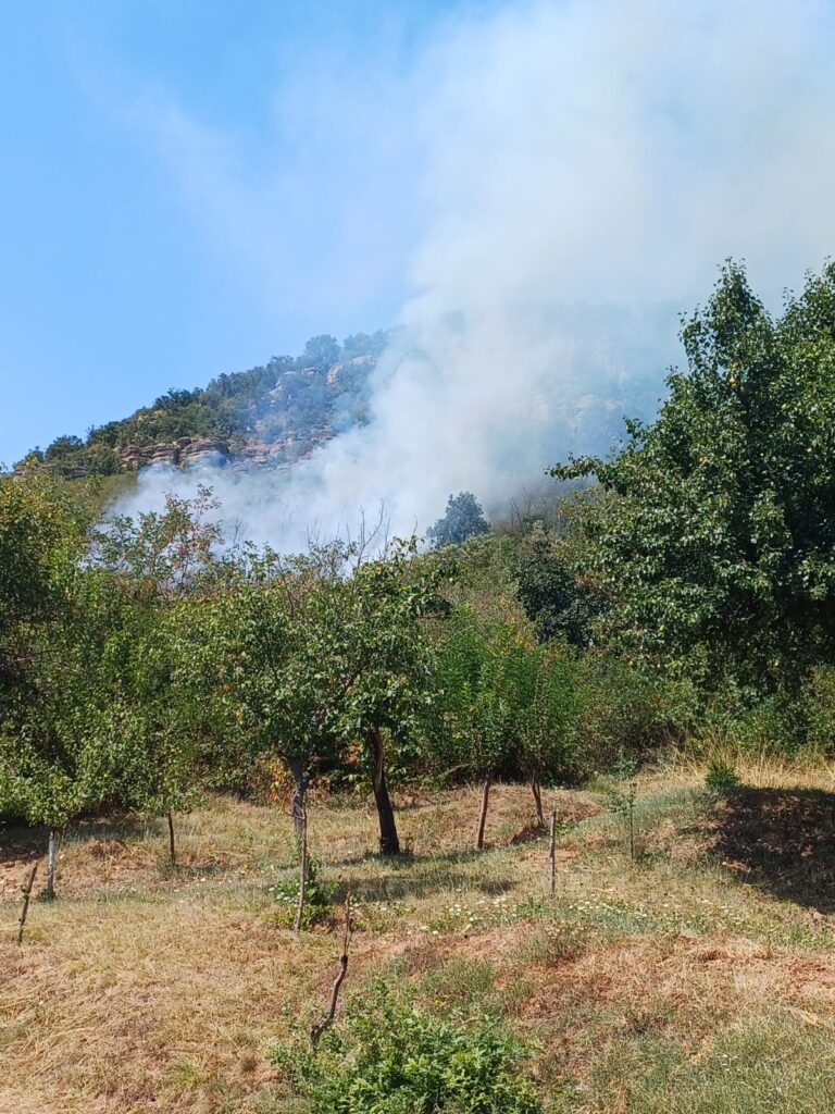 (VIDEO) Mehedinți: Incendiu de vegetație uscată în zona localității Svinița