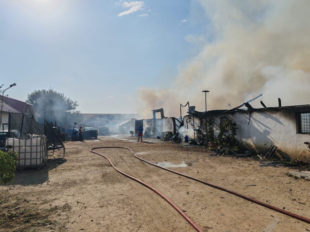 (VIDEO) Olt: Incendiu la o gospodărie din Vâlcele. Totul a pornit de la o tigaie uitată pe foc