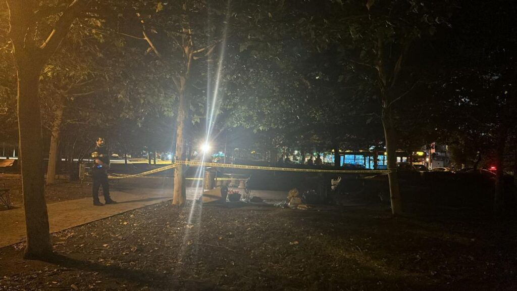 Tânăr, înjunghiat cu o foarfecă în Parcul Tei chiar de cumnatul lui