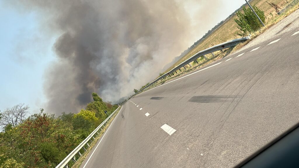 Trafic oprit pe DN 6 Craiova-Caracal, din cauza unui incendiu de vegetație uscată