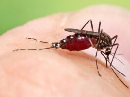 47 de cazuri de infecţie cu virusul West Nile din 3 iunie
