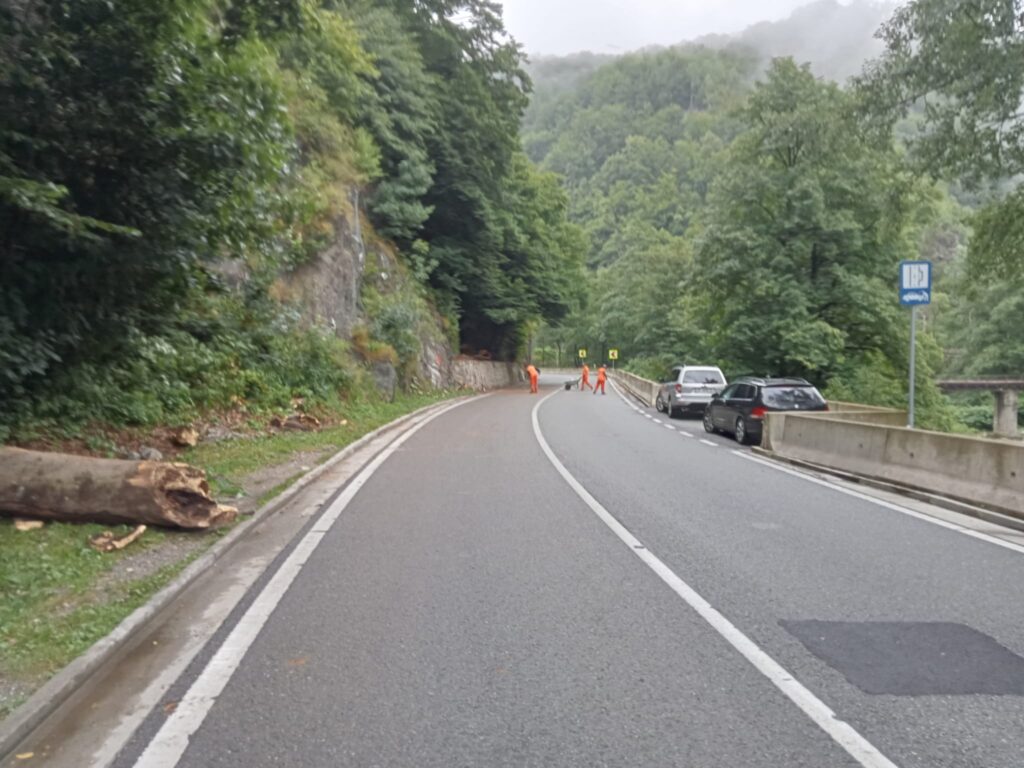 Camere de supraveghere în Parcul Național „Defielul Jiului”