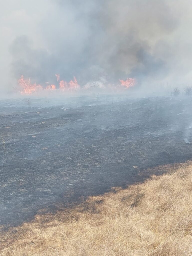 Aproape 1.000 de incendii de vegetație uscată și de pădure în Gorj