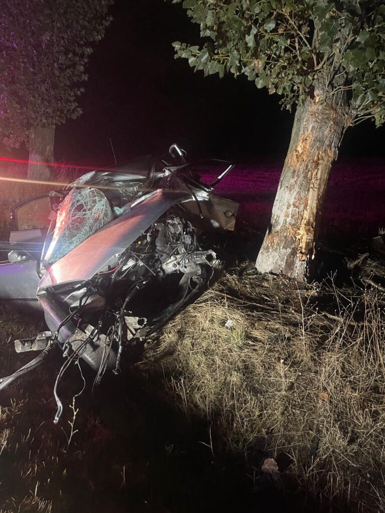 Dolj: Doi bărbați au murit într-un accident la Plopșor
