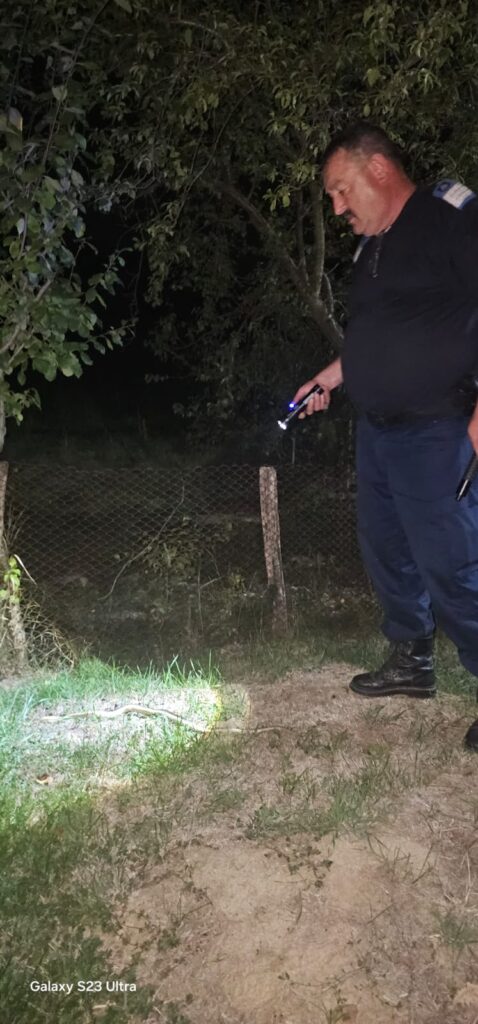 (VIDEO) Gorj: Șarpe descoperit în mașina unui bărbat din Stejari