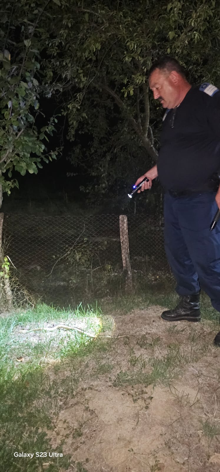 (VIDEO) Gorj: Șarpe descoperit în mașina unui bărbat din Stejari