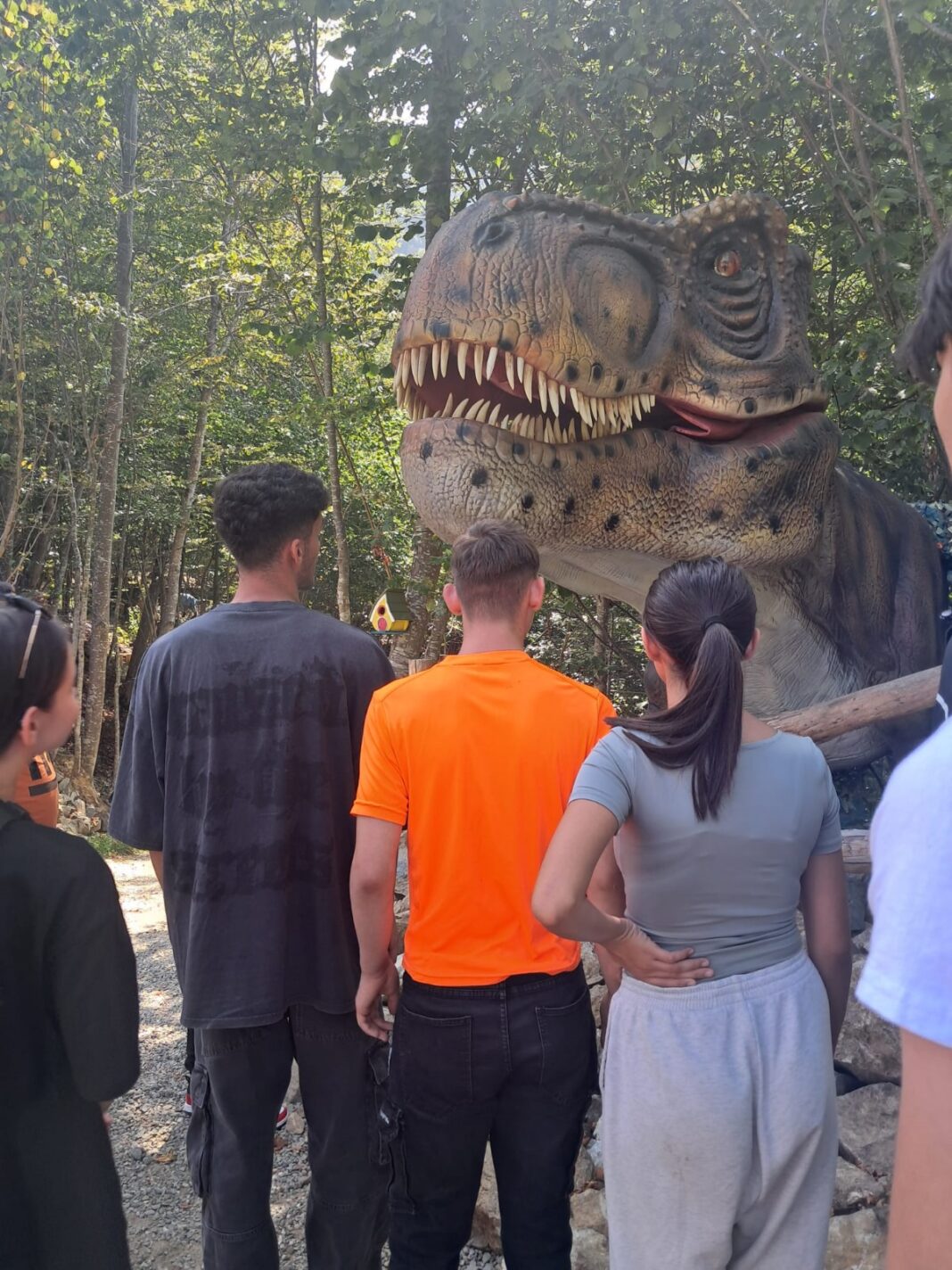 copii vacanta Copiii din sistemul de protecție al DGASPC Gorj au avut o vacanță de neuitat