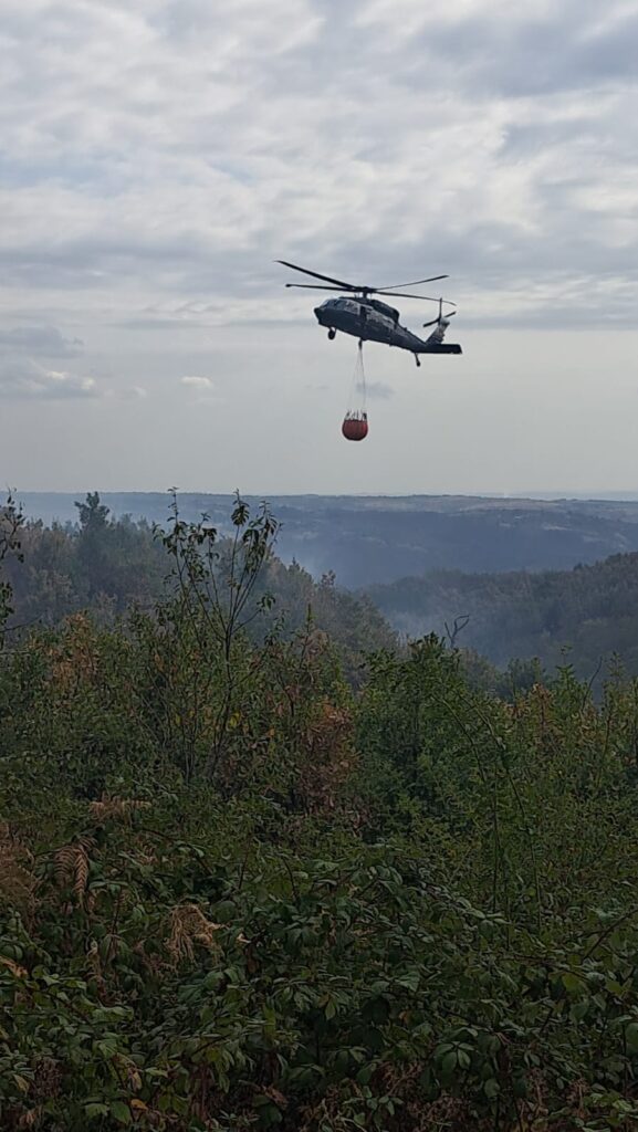 Mehedinți: Pompierii continuă lupta cu incendiile de pădure de la Schitul de Sus și Podeni
