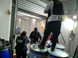 Captură record de cocaină în România. Drogurile erau ascunse în fructe congelate