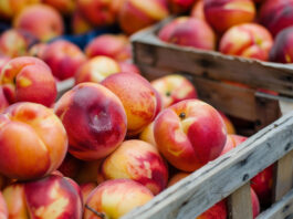 ANPC retrage de la vânzare nectarine cu nivel ridicat de pesticide