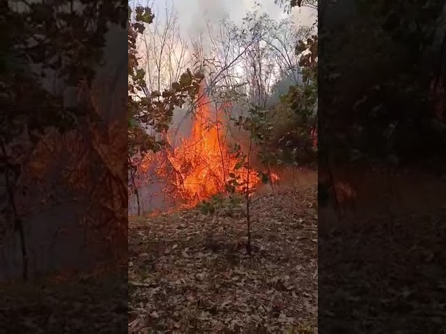 (VIDE) 103 intervenții ale ISU Gorj în ultimele 3 zile