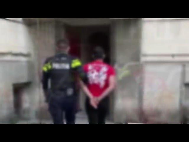 (VIDEO) Tânăr din Poiana Mare, reținut pentru mai multe infracțiuni