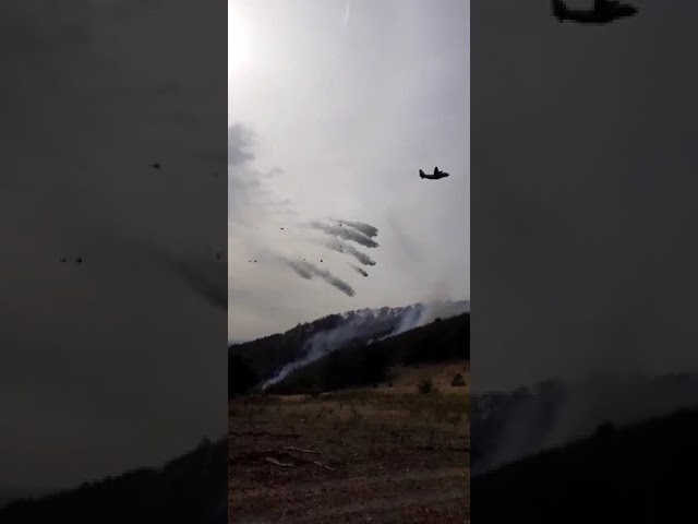 (VIDEO) Continuă intervențiile pentru stingerea incendiilor din Mehedinți
