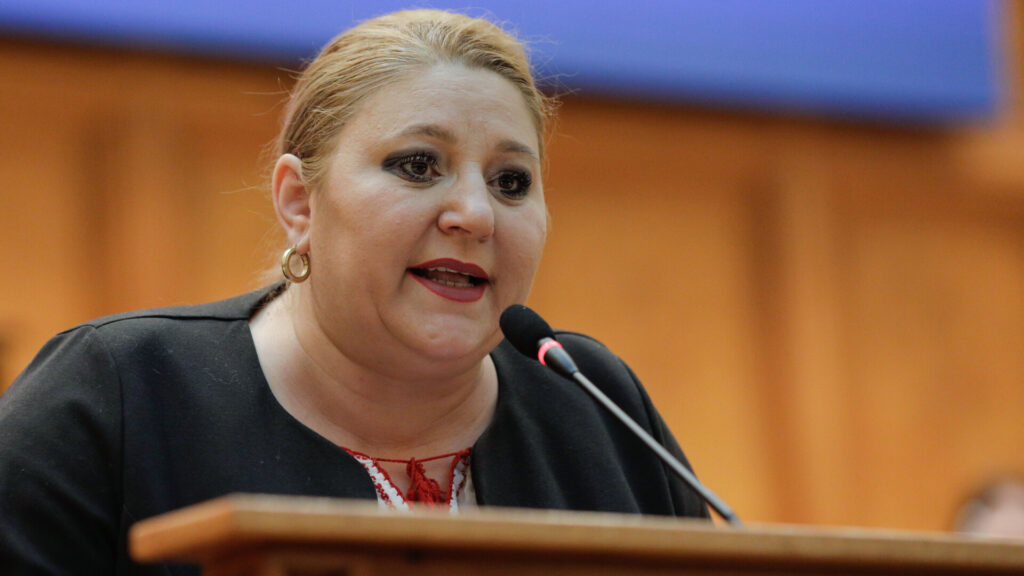 CCR a publicat motivarea deciziei privind respingerea candidaturii Dianei Şoşoacă la funcția de președinte al țării