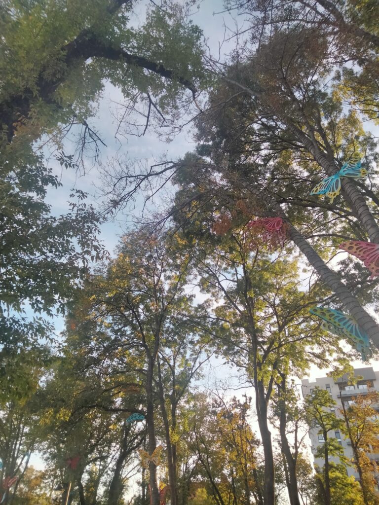 Copacii uscaţi, pericolul din parc