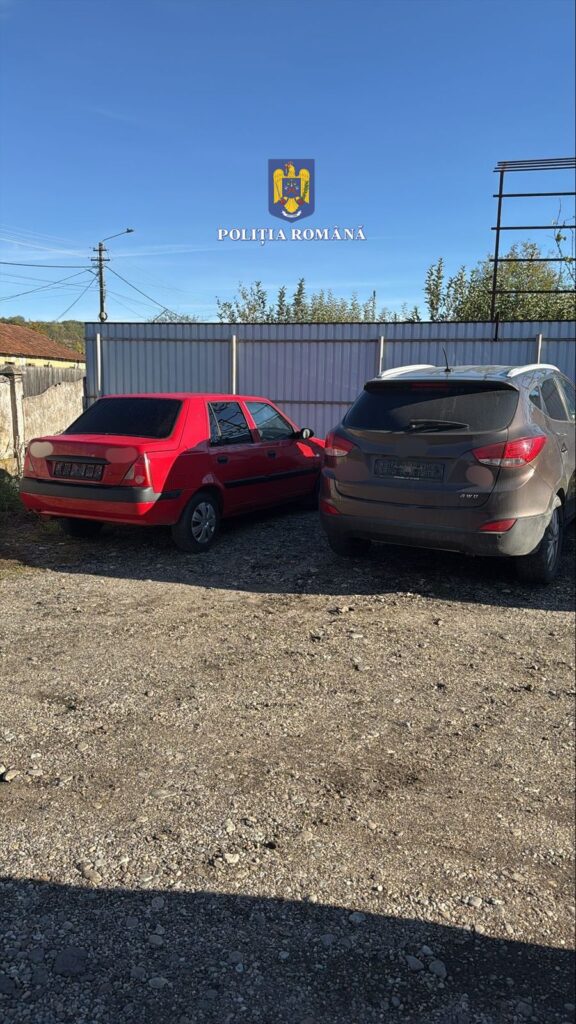Vâlcea: Efectuau transport persoane, deși nu aveau autorizații TAXI