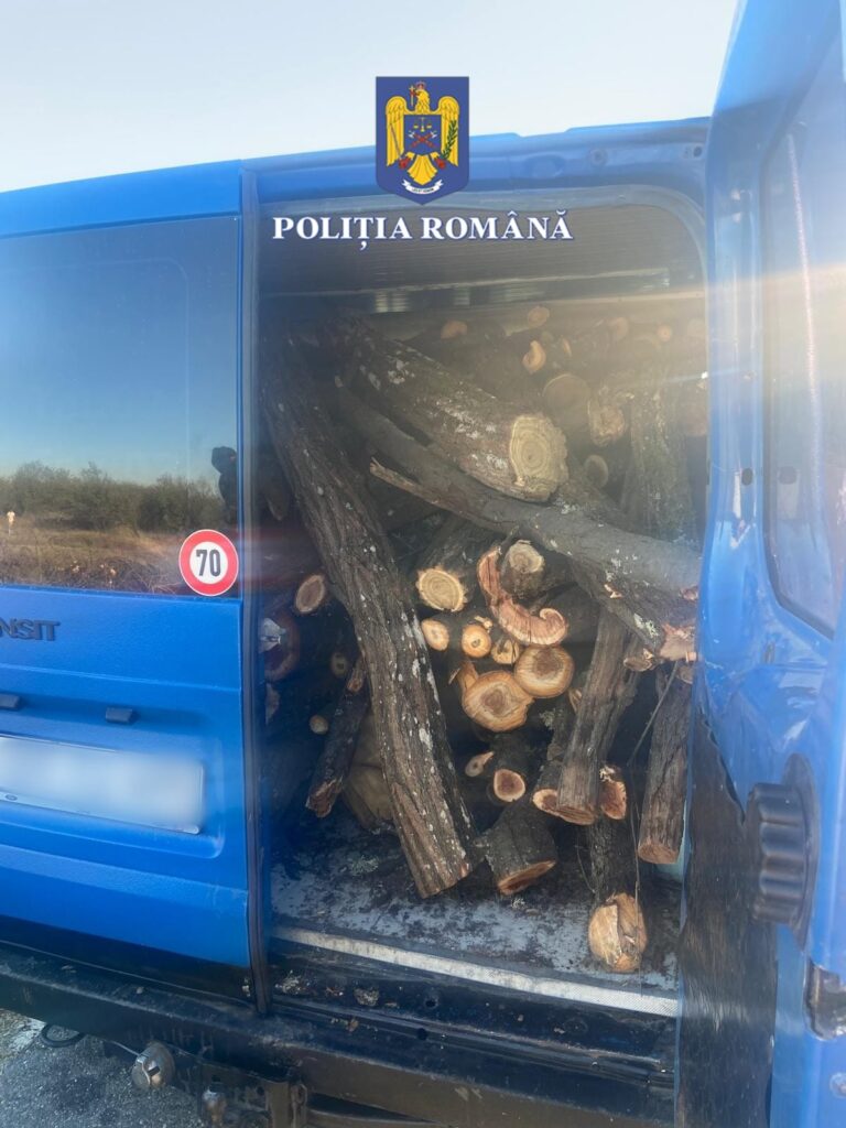 Olt: Persoane cercetate pentru tăiere și furt de arbori