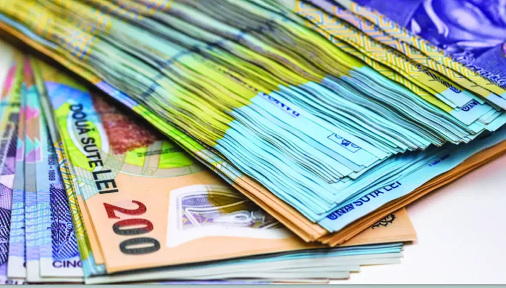 Guvernul a alocat ajutoare de urgenţă pentru familii afectate de inundații, incendii sau risc de excluziune