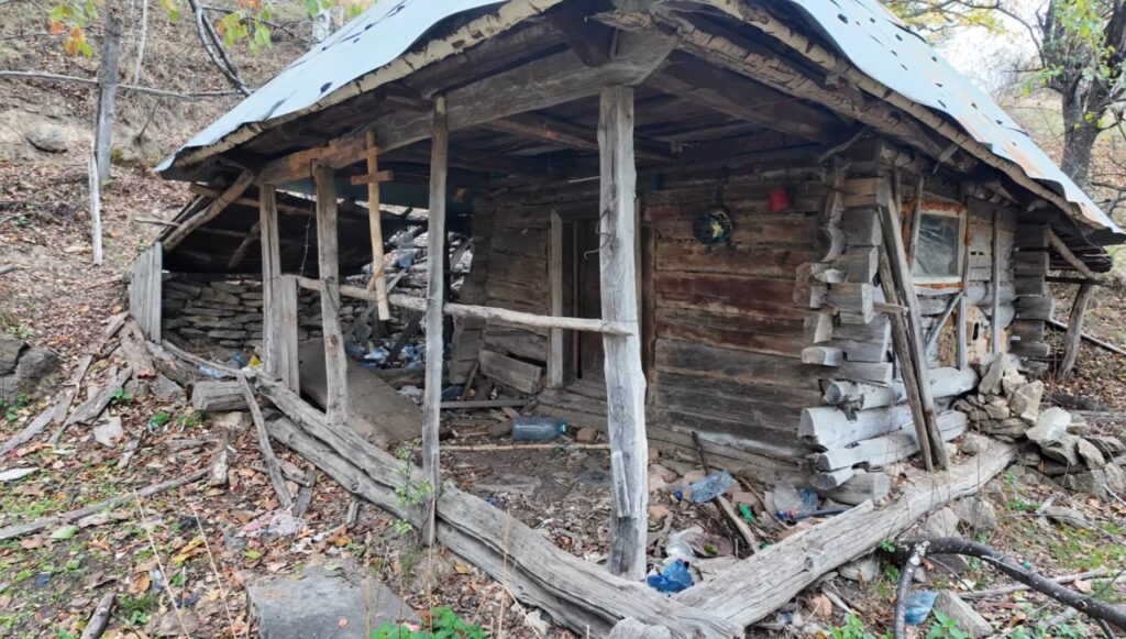 Conac abandonat, vechi de peste 100 de ani, plin de peturi