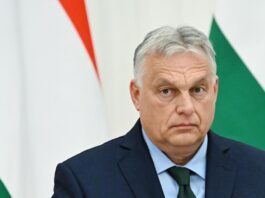 Viktor Orban consultă populaţia pentru a afla dacă Ungaria trebuie să se îndrepte spre Rusia și China