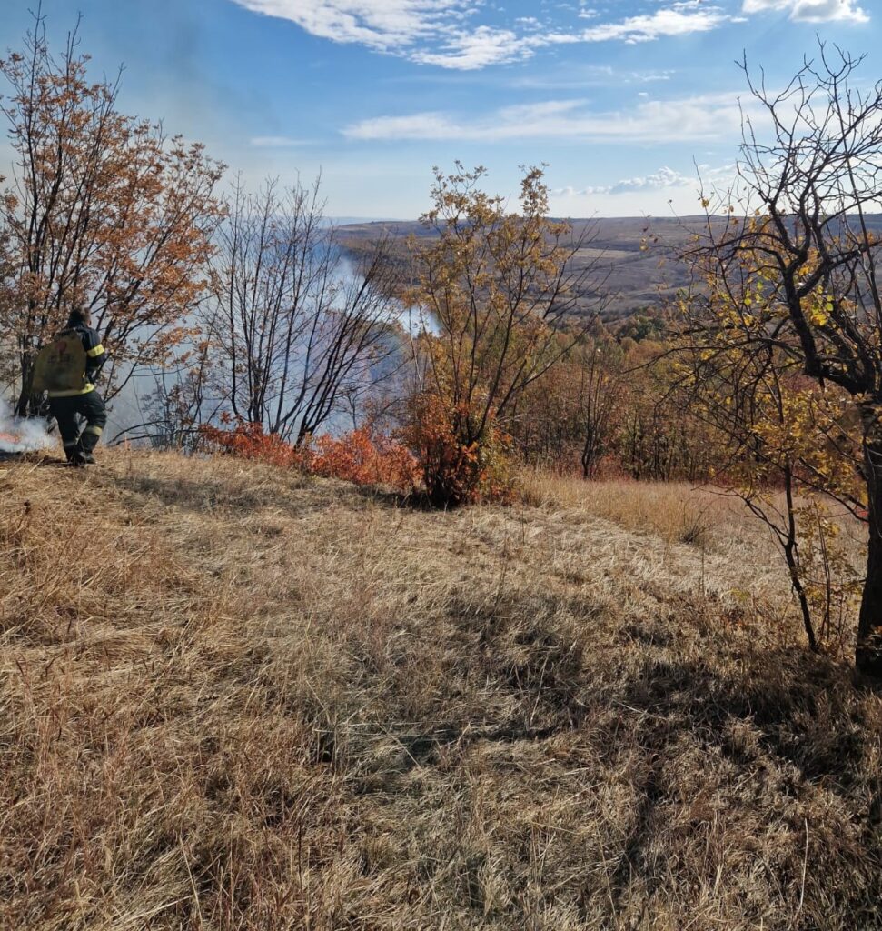 Incendiu de amploare în Mehedinți