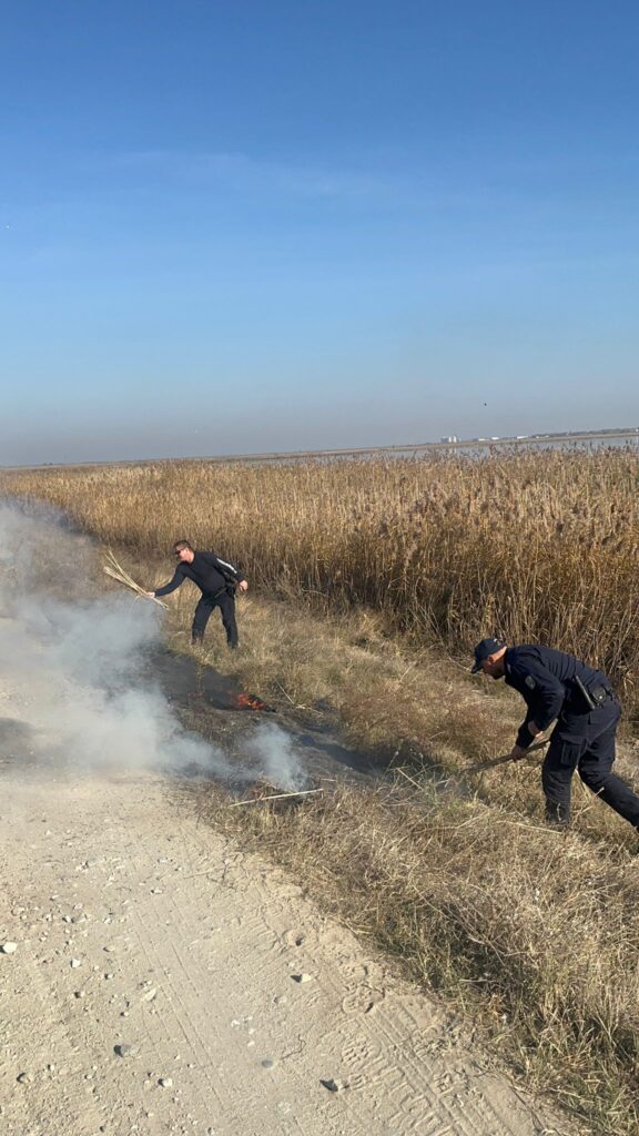Dolj: Intervenție a jandarmilor pentru stingerea unui incendiu de vegetație