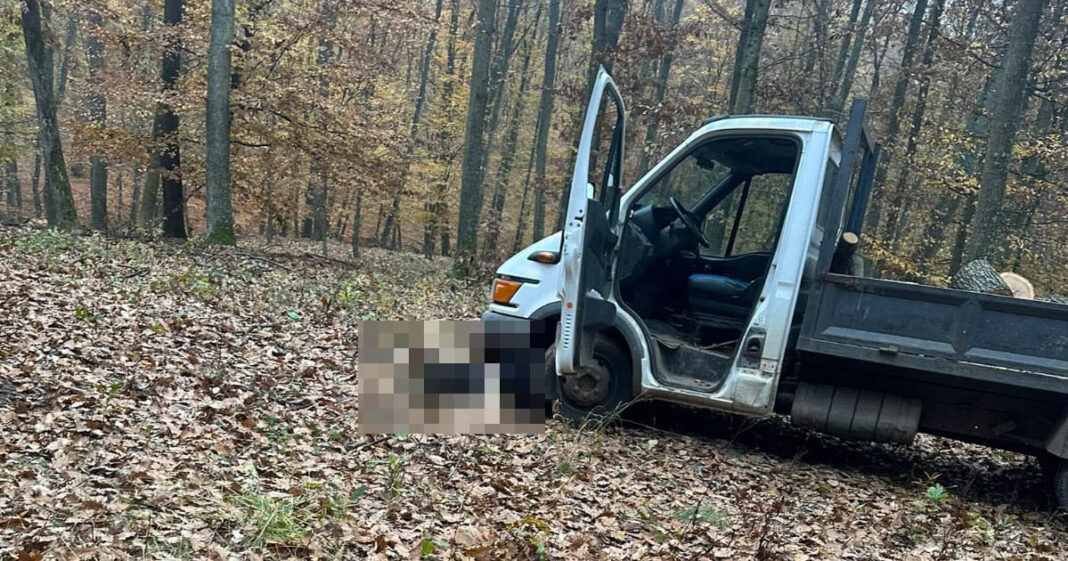 acc cehal Un bărbat a murit strivit sub o camionetă cu lemne