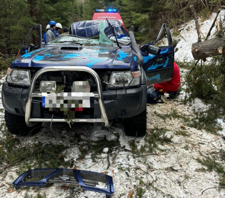 Bărbat grav rănit după ce un copac a căzut pe mașina lui