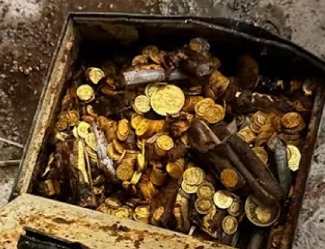 Cufăr cu monede de aur, descoperit în subsolul unei vile abandonate din  Viena