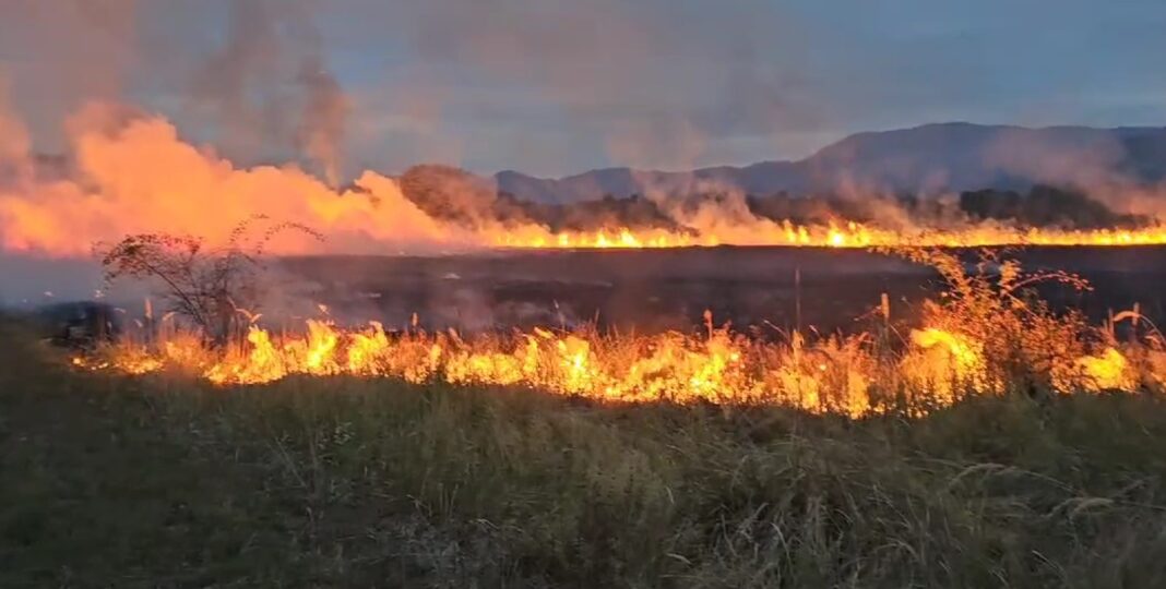 Gorj: 20 de incendii de vegetație uscată în ultimele cinci zile