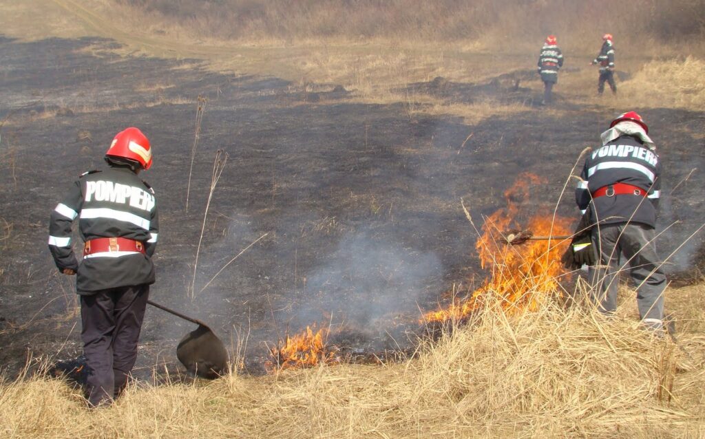 Doljeanul care a incendiat 30 hectare de grâu, condamnat cu suspendare