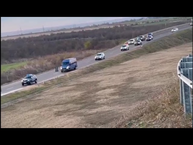 (VIDEO) Operațiunea „Green pass”. Sunt verificate frontierele și locurile de cazare ale migranților