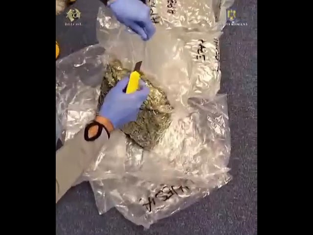 Tânăr din Craiova, prins cu 5 kilograme de canabis pe Aeroportul Otopeni
