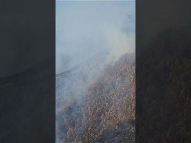 Continuă intervențiile pentru stingerea incendiilor de la Svinița și Ilovăț
