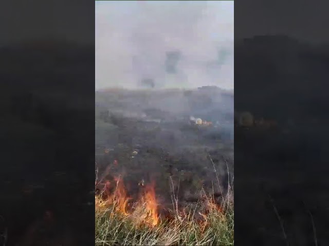 (VIDEO) Incendiu de vegetaţie în cartierul Catargiu din Craiova
