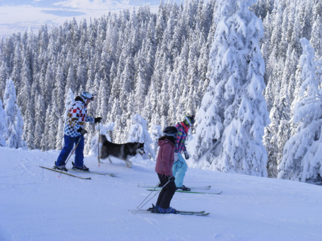 Trei pârtii, deschise în acest weekend, în staţiunea Straja