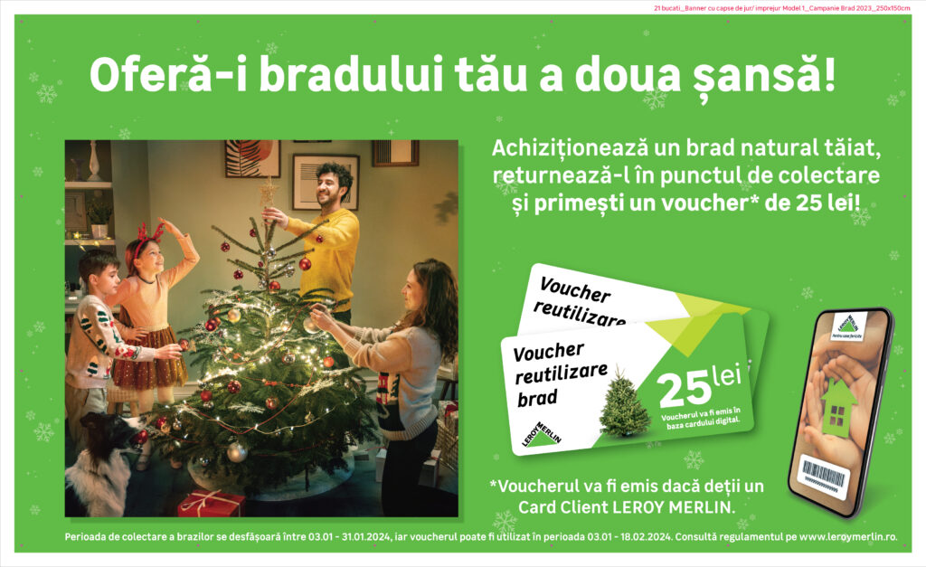Brazii naturali au sosit la Leroy Merlin. După sărbători, îi poți returna în magazin și primești un voucher cadou