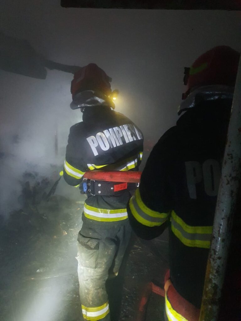 (VIDEO) Incendiu la o casă din Giubega
