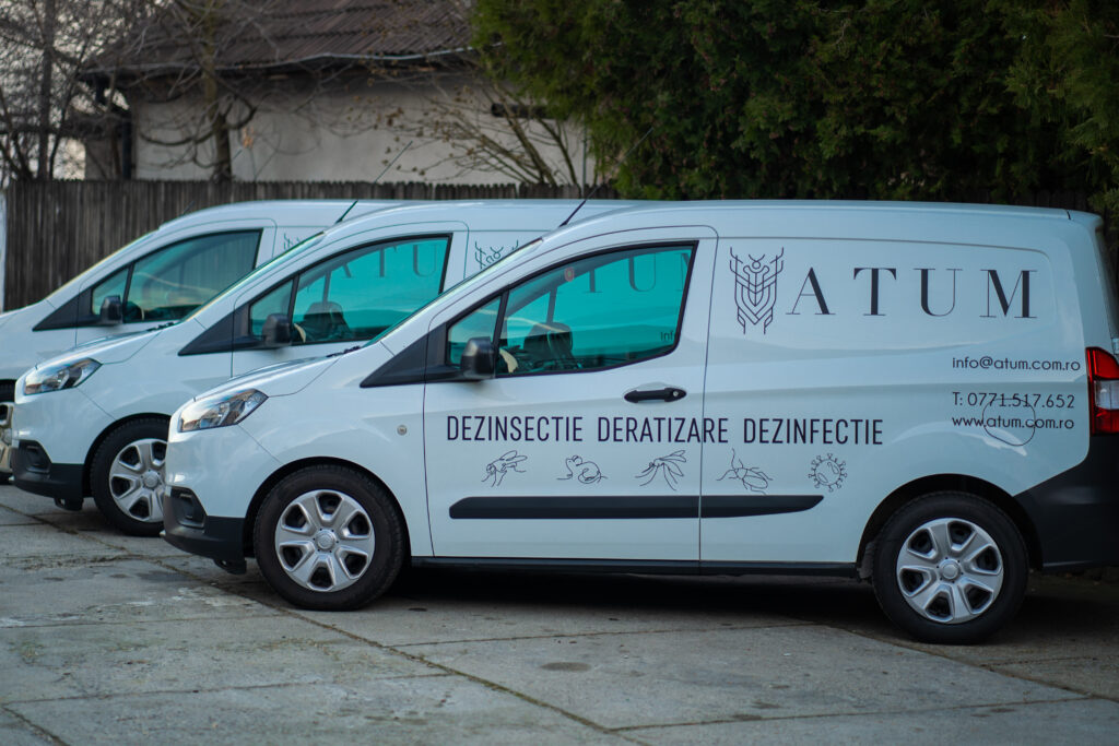 De ce este important să ai un contract DDD constant şi care sunt riscurile dacă nu ai unul