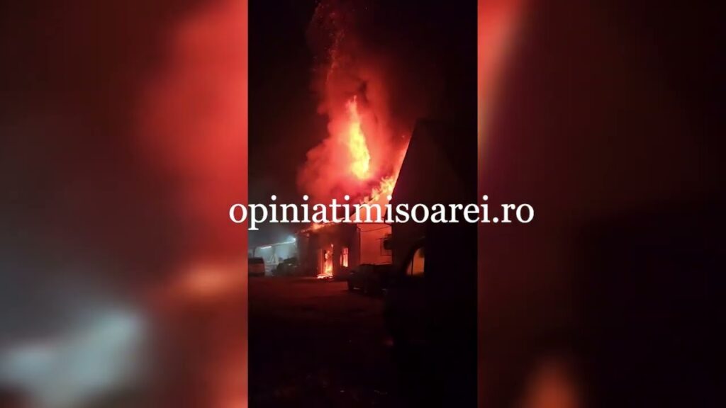 (VIDEO) Incendiu violent în Timișoara