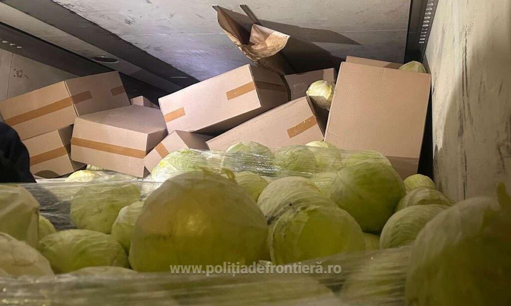 (VIDEO) Zeci de mii de pachete cu țigări, de peste 1,3 milioane lei, ascunse într-un camion încărcat cu varză