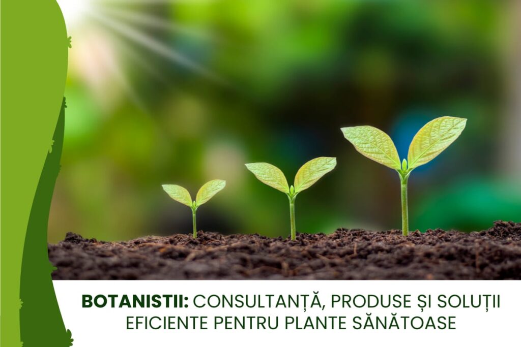 Botaniștii: Consultanță, produse și soluții eficiente pentru plante sănătoase