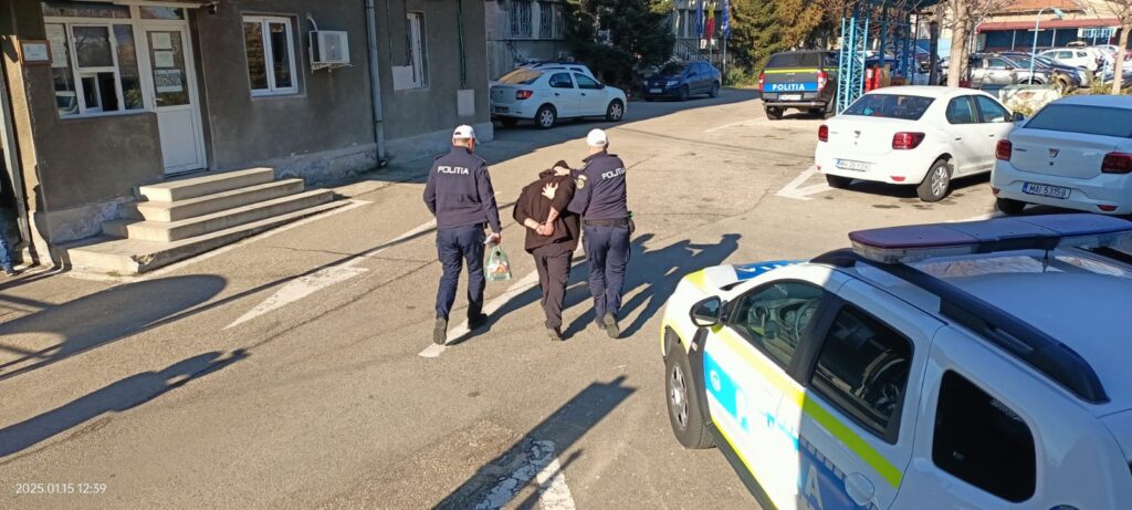 Mehedinți: Reținut, după ce a prezentat un permis de conducere fals