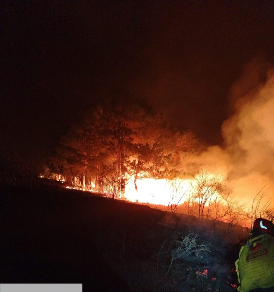 WhatsApp Image 2025-01-20 at 09.20.20 Incendiu la fond forestier pe raza localității Isverna